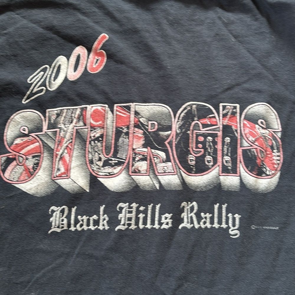 Vintage Men’s Large Fruit Of The Loom Heavy 2000s Sturgis Nature Geaphic T Shirt - Picture 5 of 5